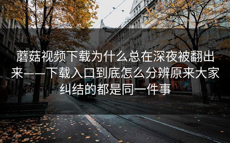 蘑菇视频下载为什么总在深夜被翻出来——下载入口到底怎么分辨原来大家纠结的都是同一件事