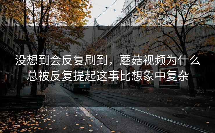 没想到会反复刷到，蘑菇视频为什么总被反复提起这事比想象中复杂