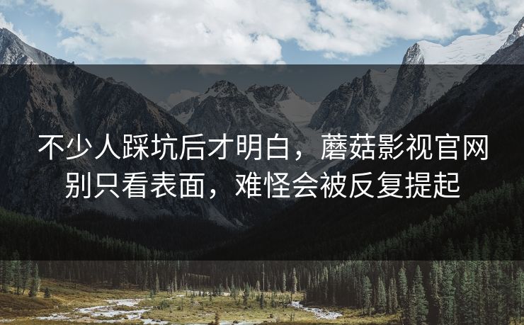 不少人踩坑后才明白，蘑菇影视官网别只看表面，难怪会被反复提起