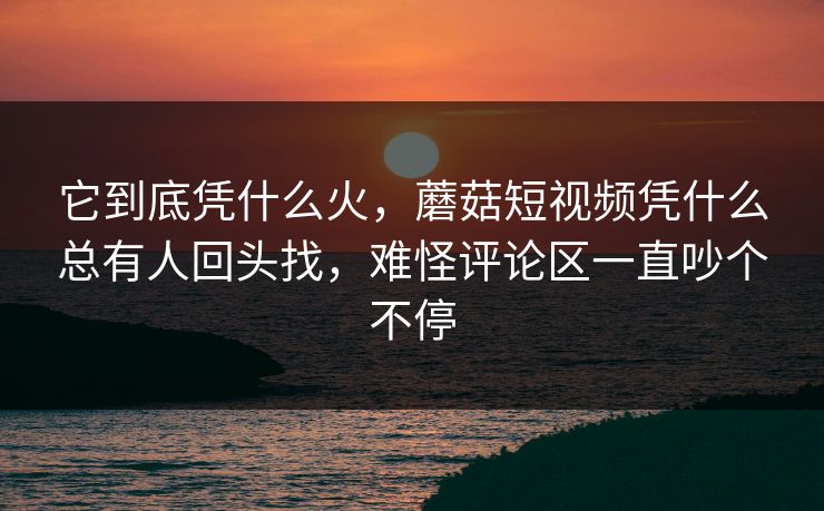 它到底凭什么火，蘑菇短视频凭什么总有人回头找，难怪评论区一直吵个不停