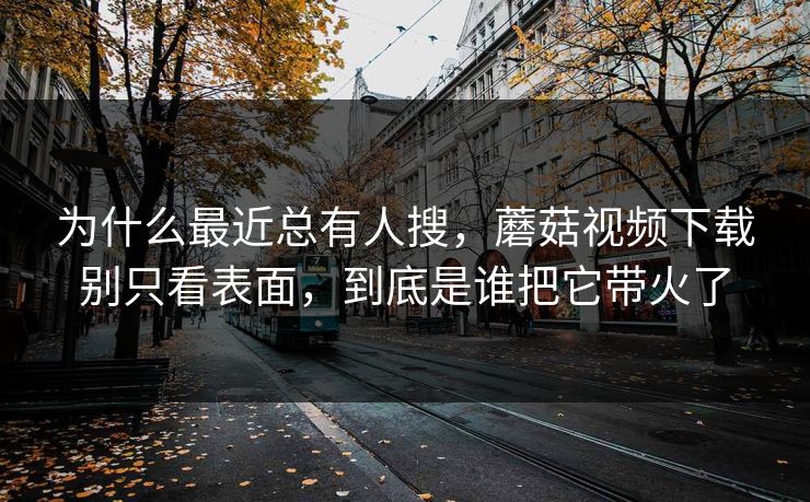 为什么最近总有人搜，蘑菇视频下载别只看表面，到底是谁把它带火了