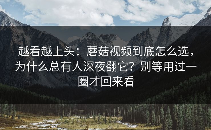 越看越上头：蘑菇视频到底怎么选，为什么总有人深夜翻它？别等用过一圈才回来看