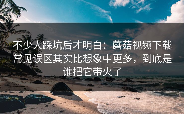 不少人踩坑后才明白：蘑菇视频下载常见误区其实比想象中更多，到底是谁把它带火了