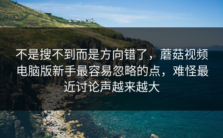 不是搜不到而是方向错了，蘑菇视频电脑版新手最容易忽略的点，难怪最近讨论声越来越大