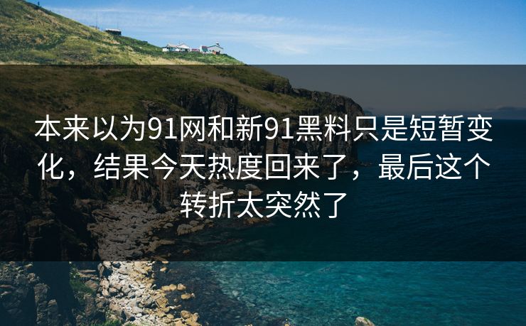 本来以为91网和新91黑料只是短暂变化，结果今天热度回来了，最后这个转折太突然了